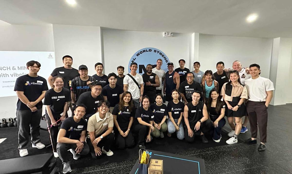 Vibefam PSG Grant